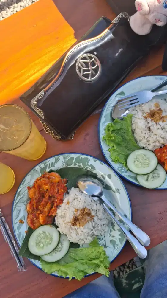 Tas Dkny Ori Batangan
