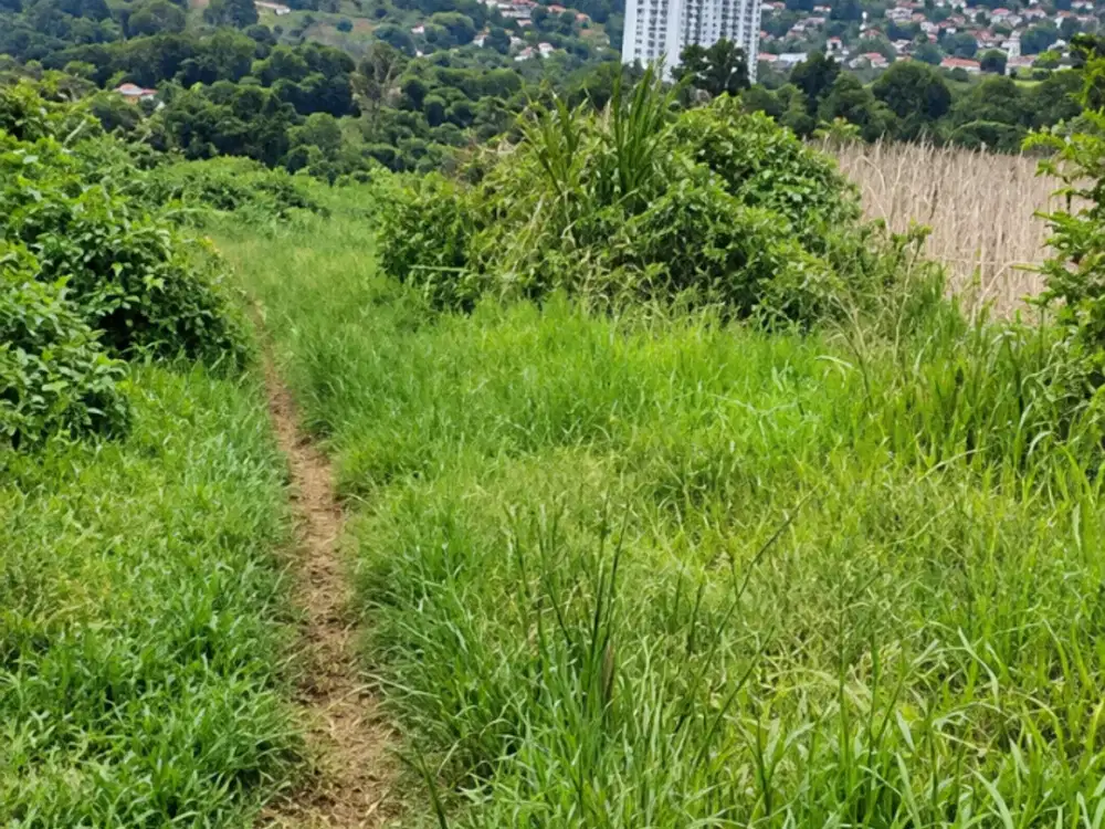 Jual Tanah View Bandung Cocok untuk Perumahan Eksklusif di Kawasan Dago