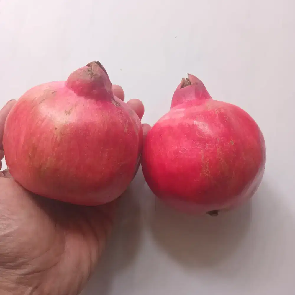 Buah Delima Merah Antar Jabodetabek