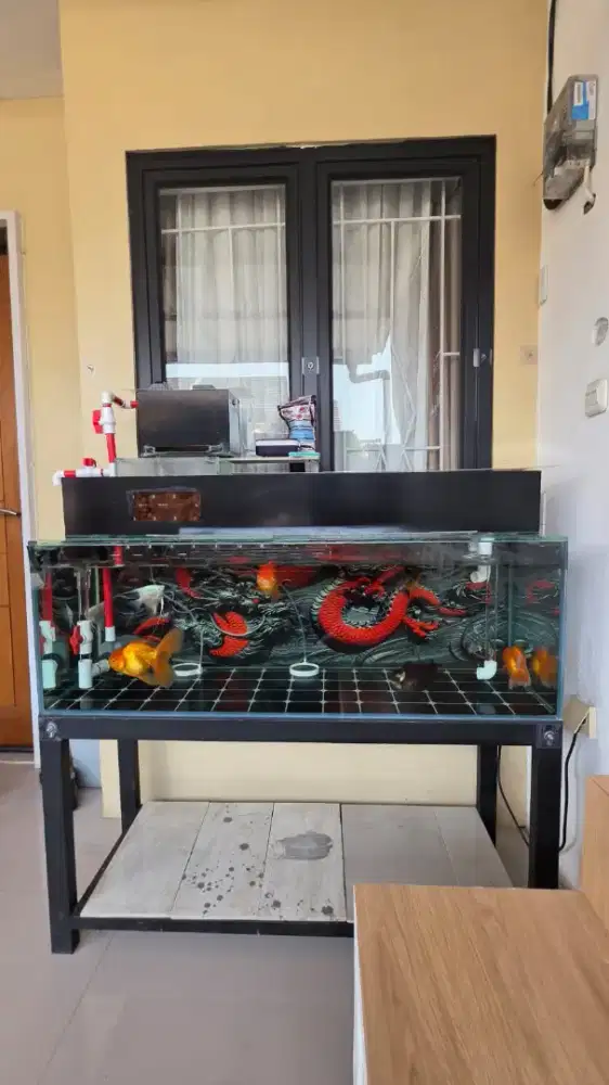 (Nego) JUAL AQUARIUM 1,2 Meter Kaca Tebal Full Set BONUS IKAN KOKI