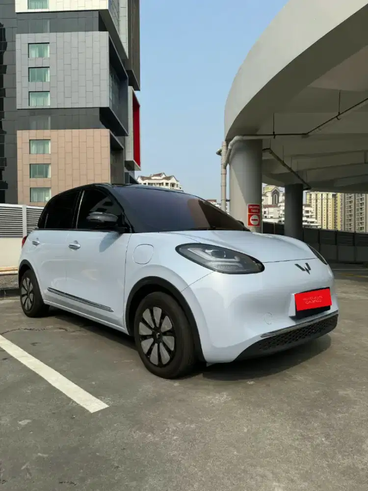 Wuling Binguo Long Range 2024