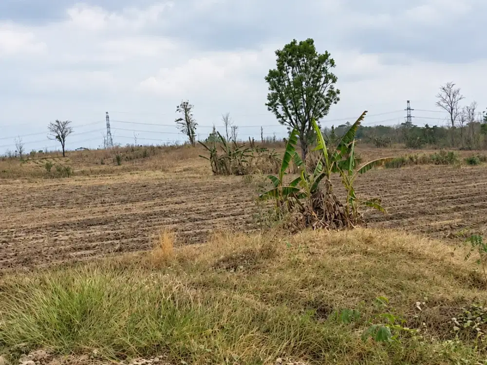 Dijual Lahan Zona Industri 5,2 Hektar di Ketanggungan Brebes, Bisa Beli Sebagian