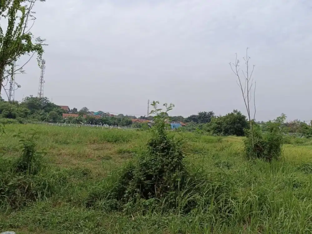 Tanah 60.000 M² di Karawang, Harga di Bawah NJOP