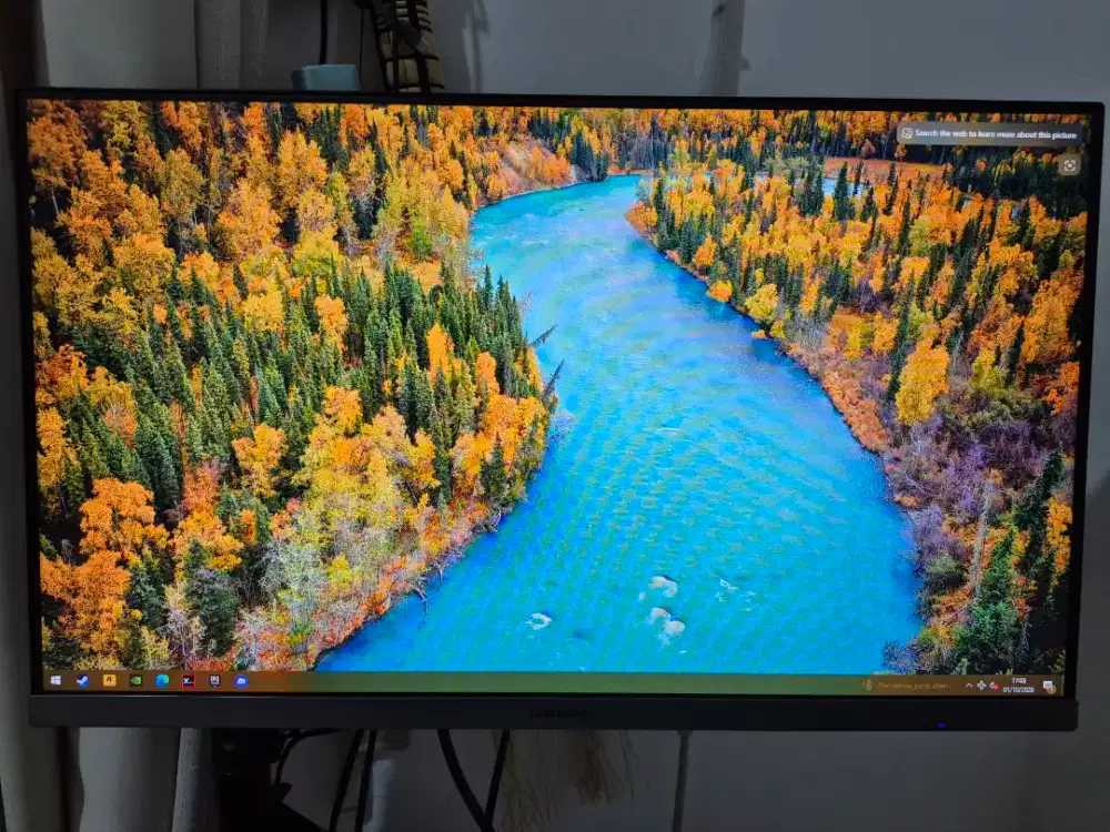 Monitor Samsung 24 Inch LS24R350