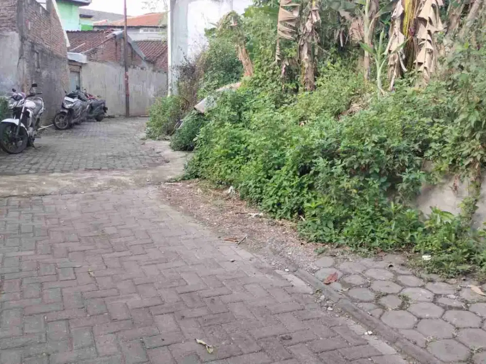 tanah murah cocok untuk investasi di tanjungsari tembalang