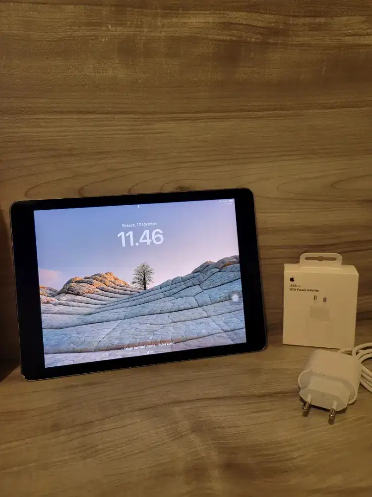 Ipad Pro 9.7 2017 gen 1