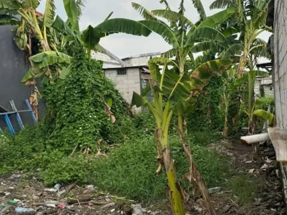 Surabaya Coret | Tanah Kavling 149 m² Tambak Oso Waru Wiguna Rungkut