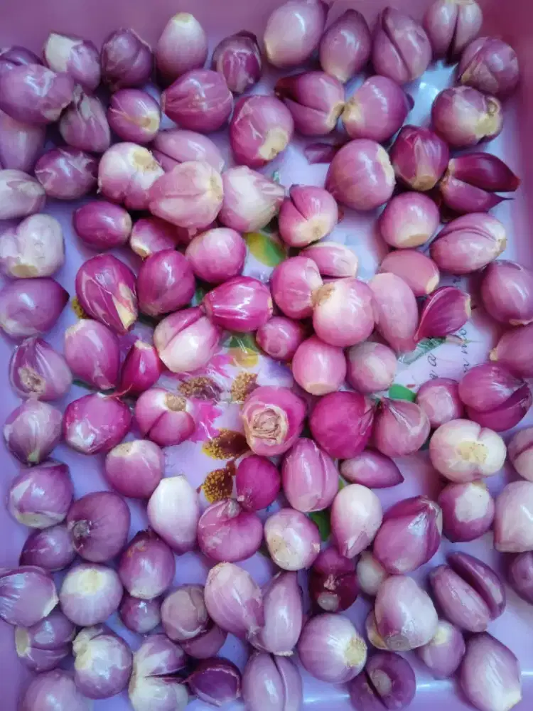 Bawang merah kupas