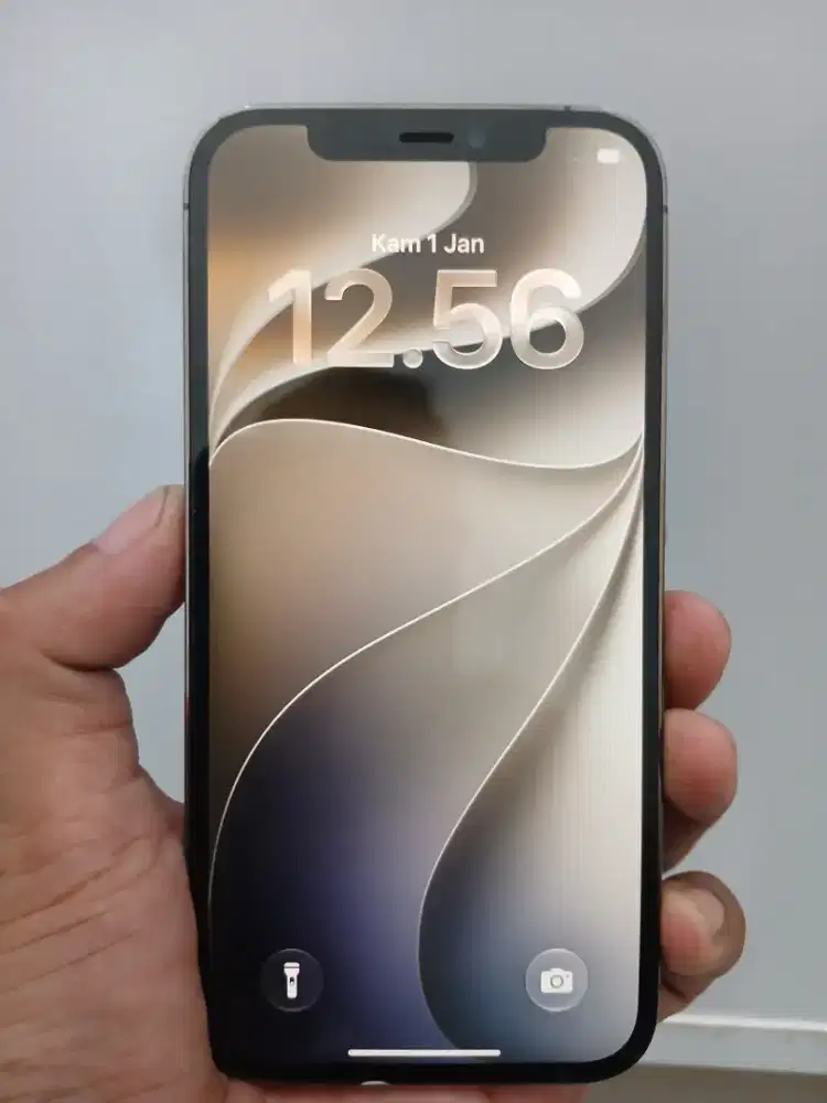 Iphone 12 pro 256Gb Inter