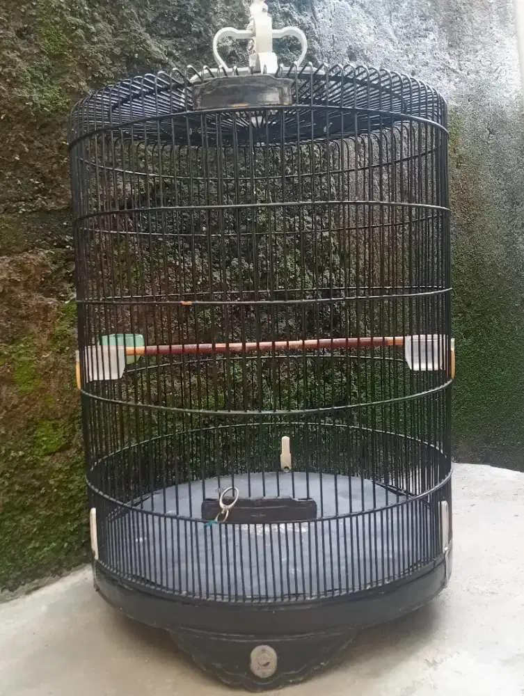 Sangkar ebod murai No 1