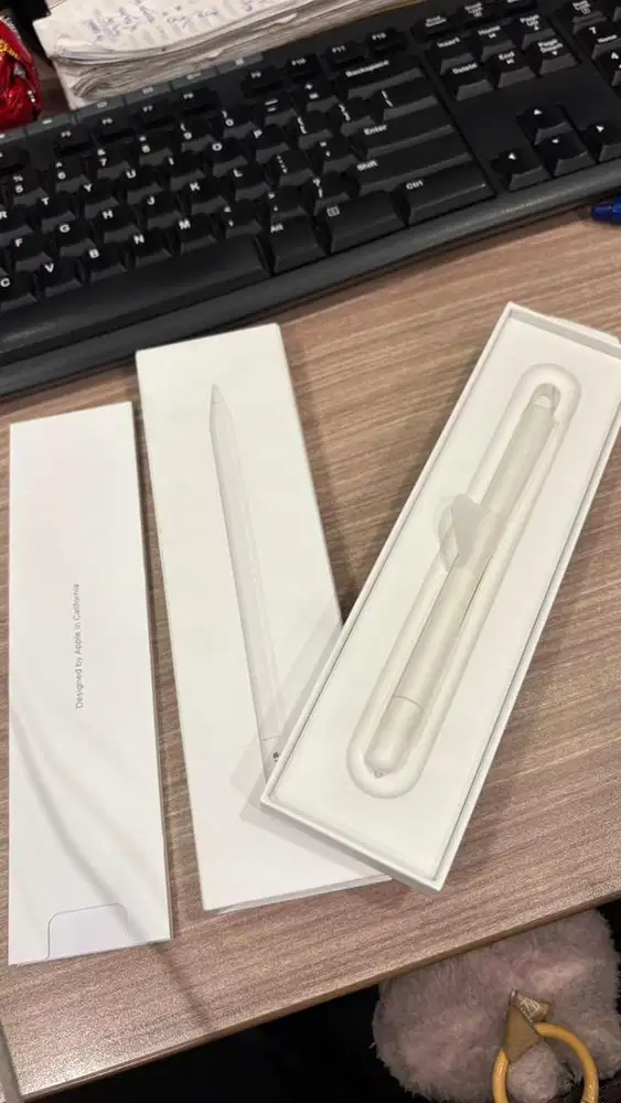 Apple Pencil (USB-C)