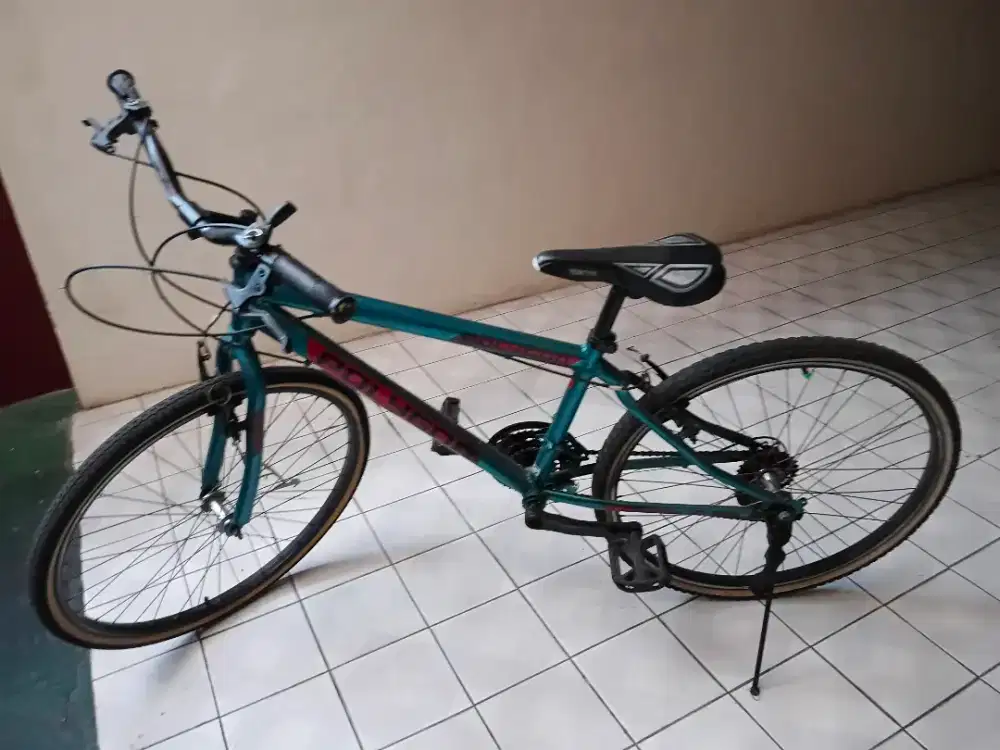 Sepeda polygon hijau
