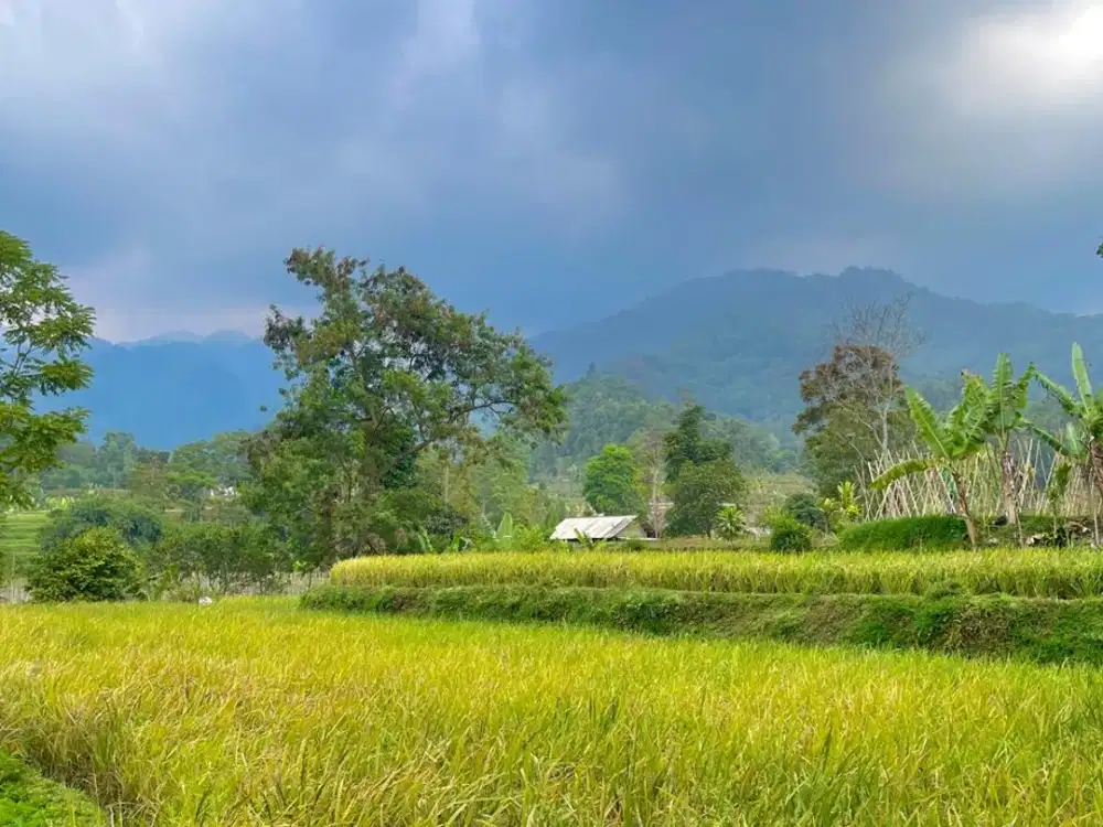Dijual Tanah di Desa Wisata Kampung Tajur View Bagus Udara Dingin