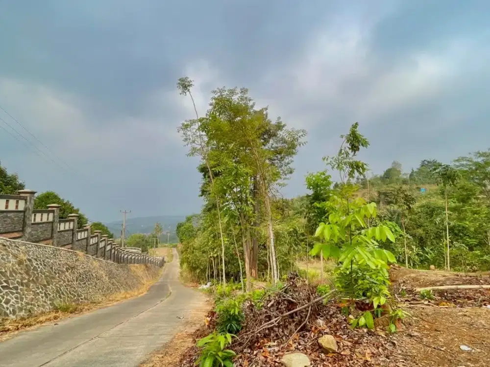 Dijual Tanah Kebun Nempel Tempat Wisata di Wanayasa Purwakarta