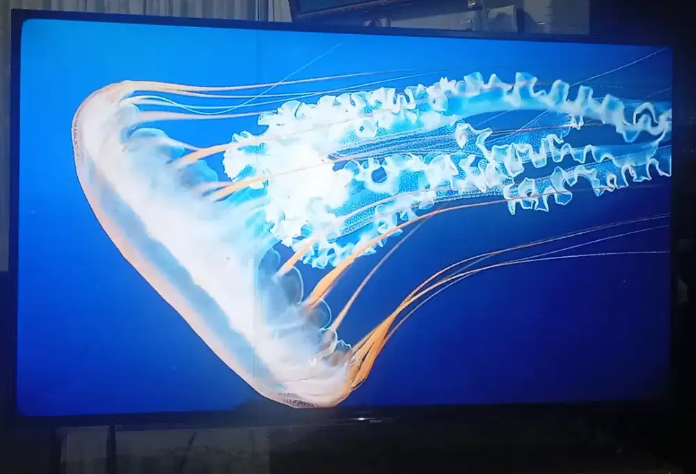 TV Android Sony 55inch bisa internet google dll gambar cerah