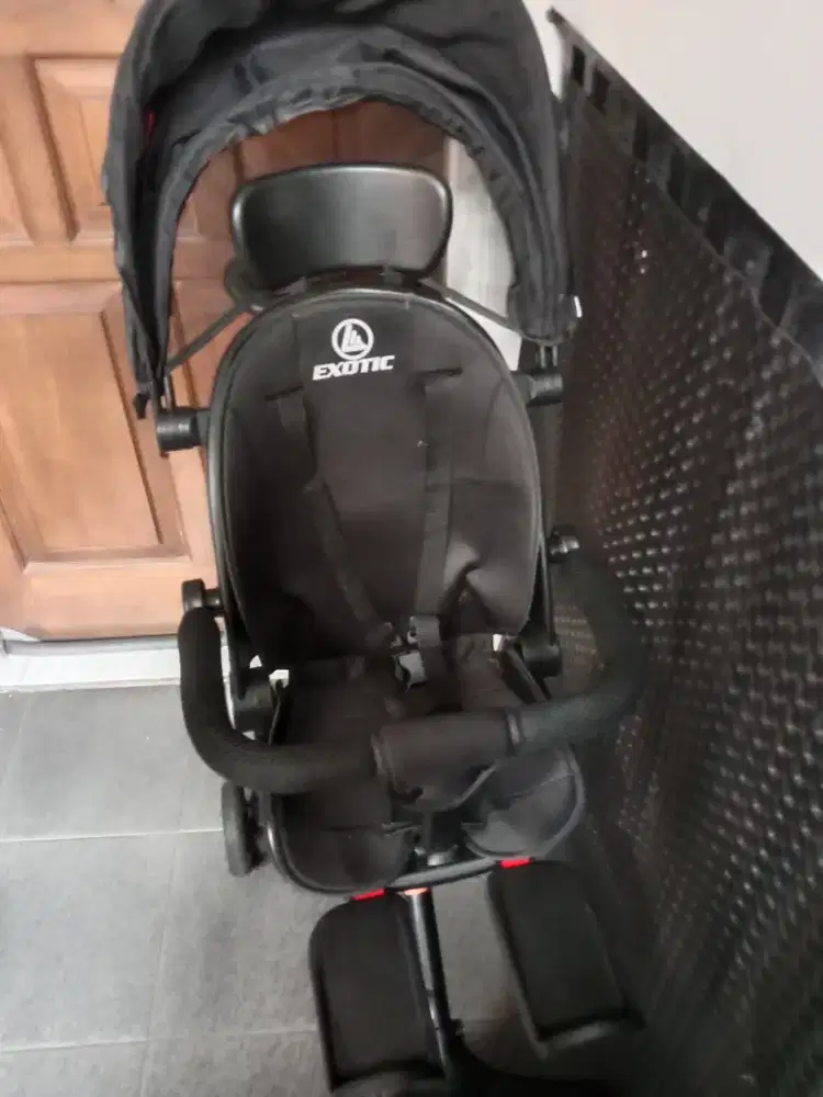Stoller bayi exotic