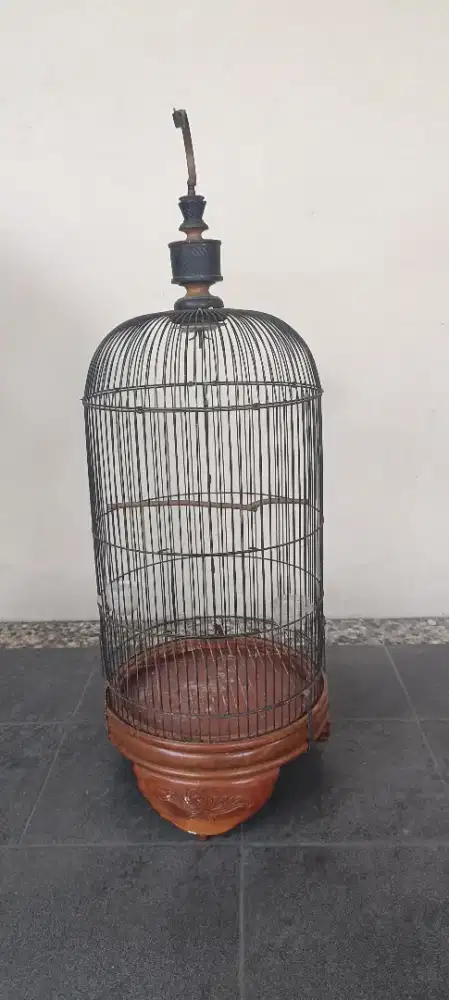 Kandang burung Lovebird dan kenari