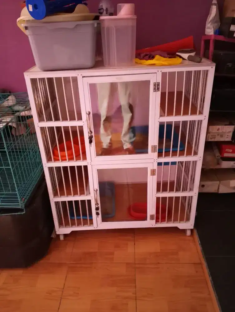 kandang kucing 2 lantai