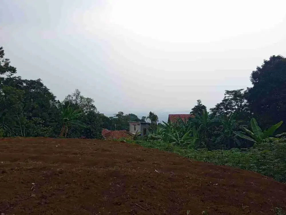 Tanah di jual d sekitran sentul city Desa cijayanti Buat villa View ke sentul city