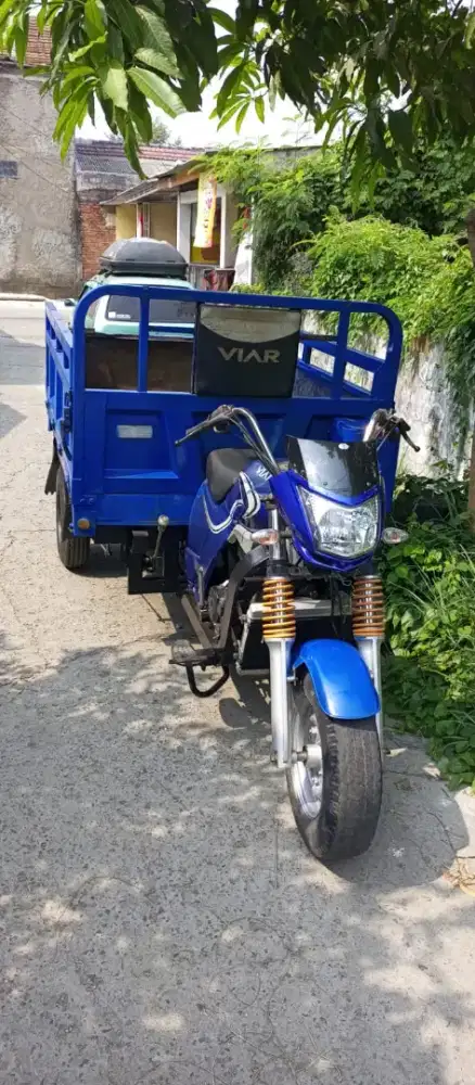 Motor roda tiga Viar 300CC