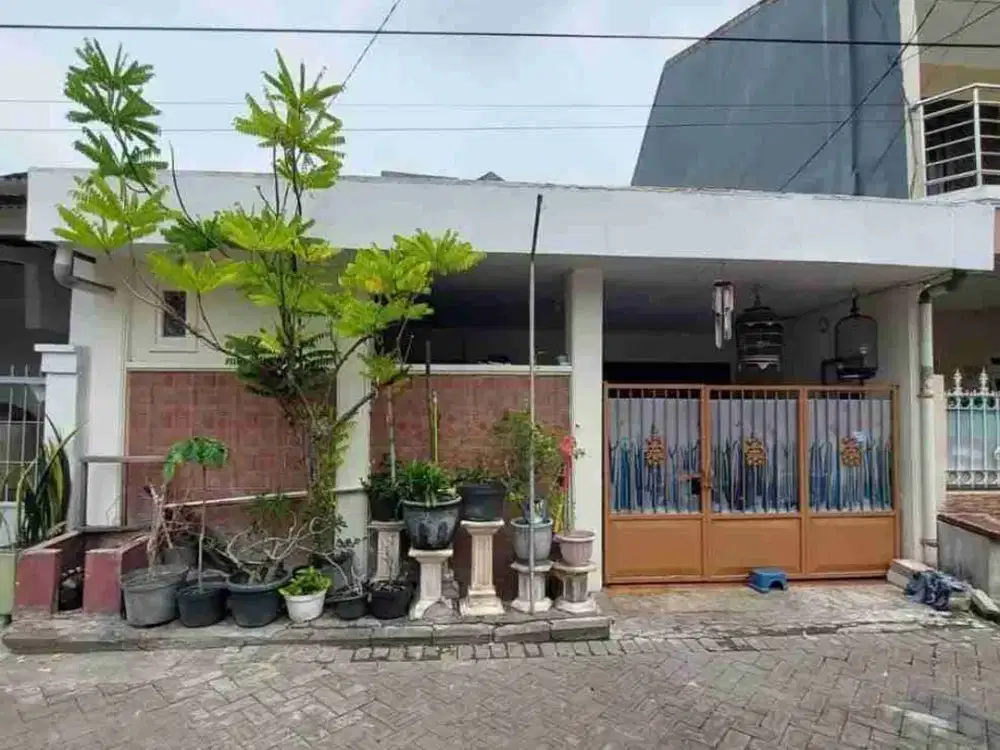 Rumah Murah siap Huni di Taman Pondok Indah, Wiyung, Sby Selatan