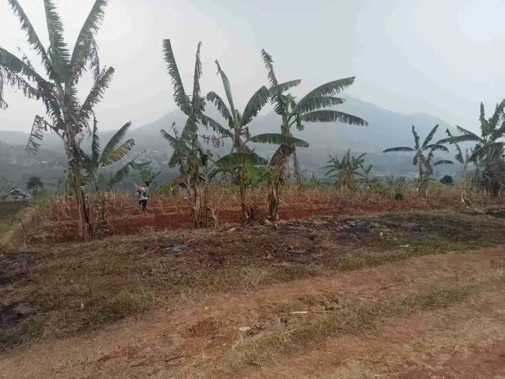jual cepat tanah untuk invest di cikuda jatinangor murah