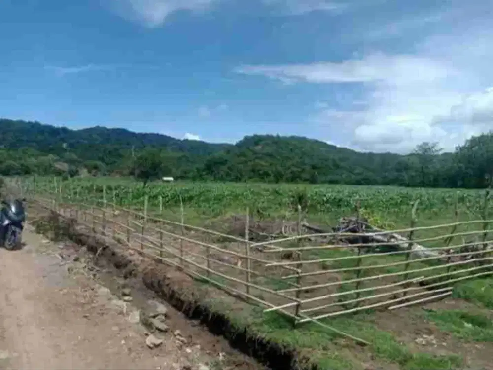 Dijual Murah Tanah di Jereweh Sumbawa Barat NTB