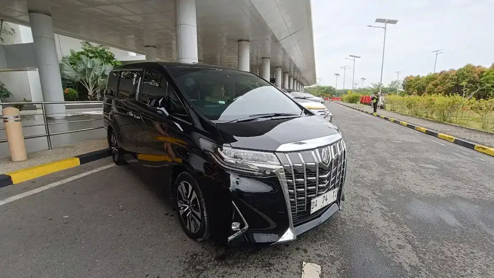 Over toyota alphard