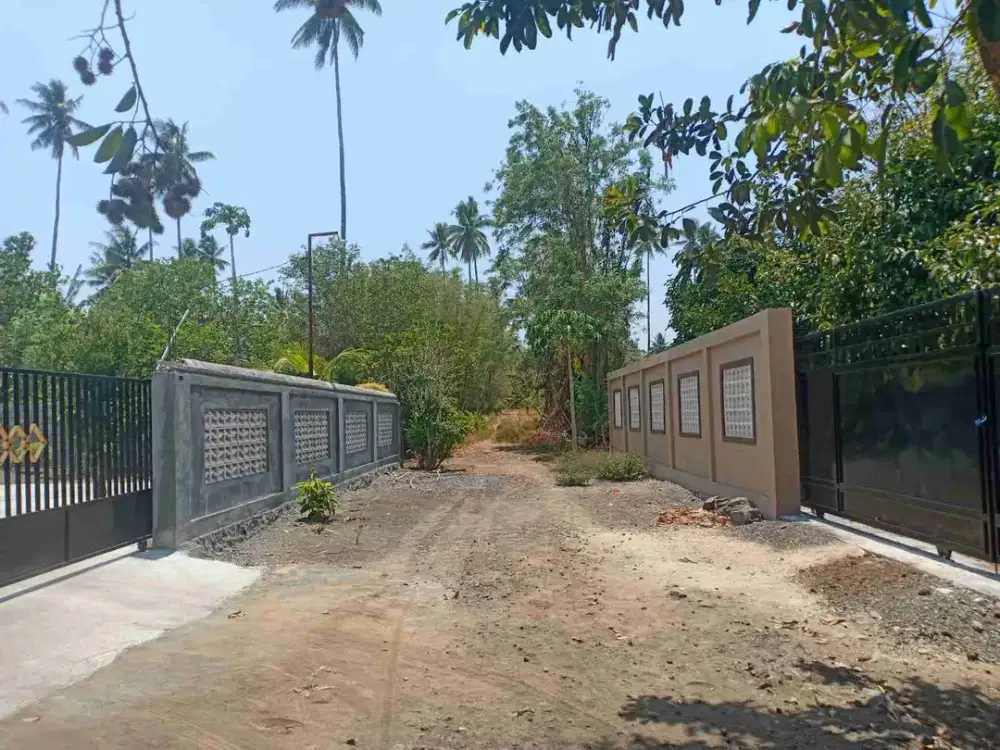 DIJUAL CEPAT TANAH MENARIK DAERAH KONSOLIDASI, HARGA MURAH