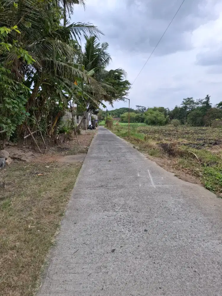 dijual tanah Luas 433 m² depan polda godean