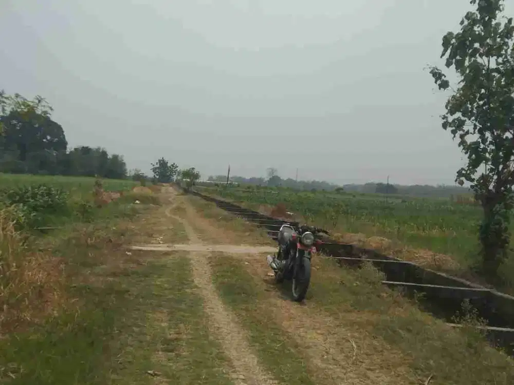 Dijual murah tanah 4200 m2 hanya 500 jutaan di kemlagi Mojokerto , harga permtr 111rb saja