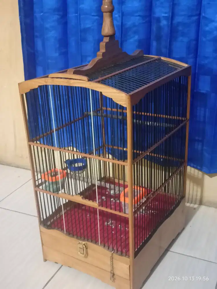 Sangkar Ciblek Fullset