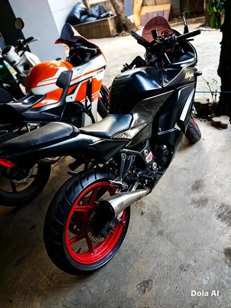 Ninja 250 (Ninbu) 2008 Build Up Jepang