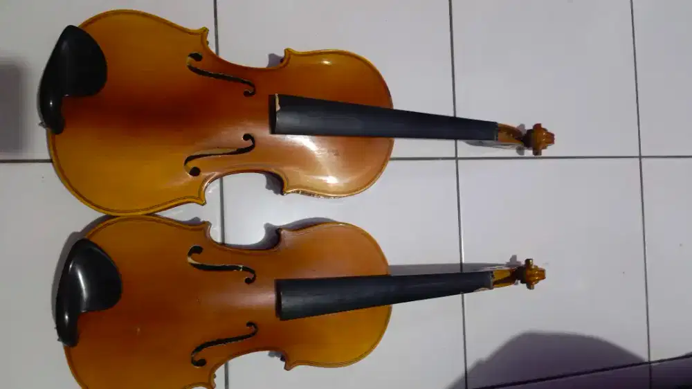 Biola merek Lark M5002