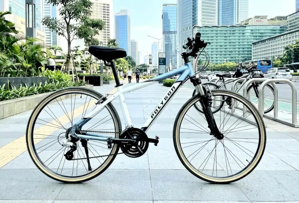 POLYGON HYBRID VINTAGE 700C