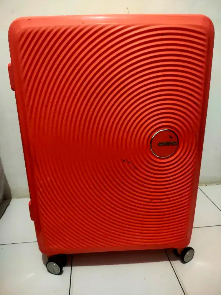 Koper American Tourister curio spinner medium 25 inchi