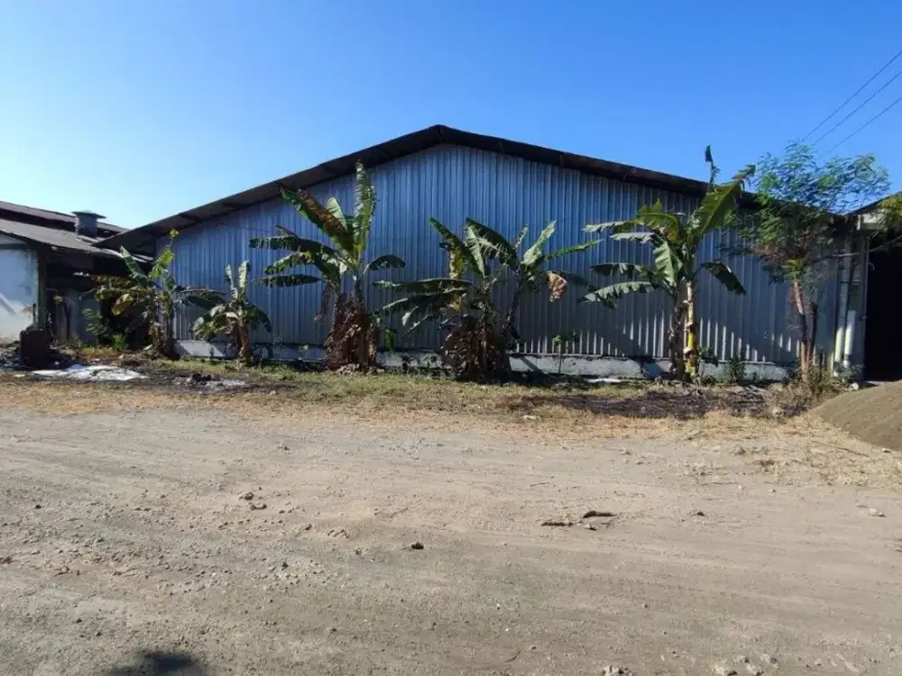Disewakan Gudang No. 10 di Tambaksawah, Waru, Sidoarjo