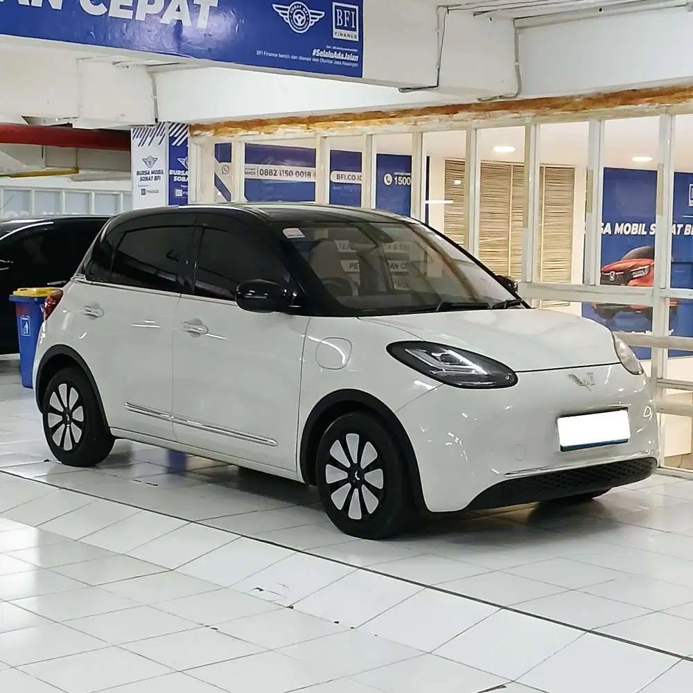 BINGUO EV PREMIUM 2024