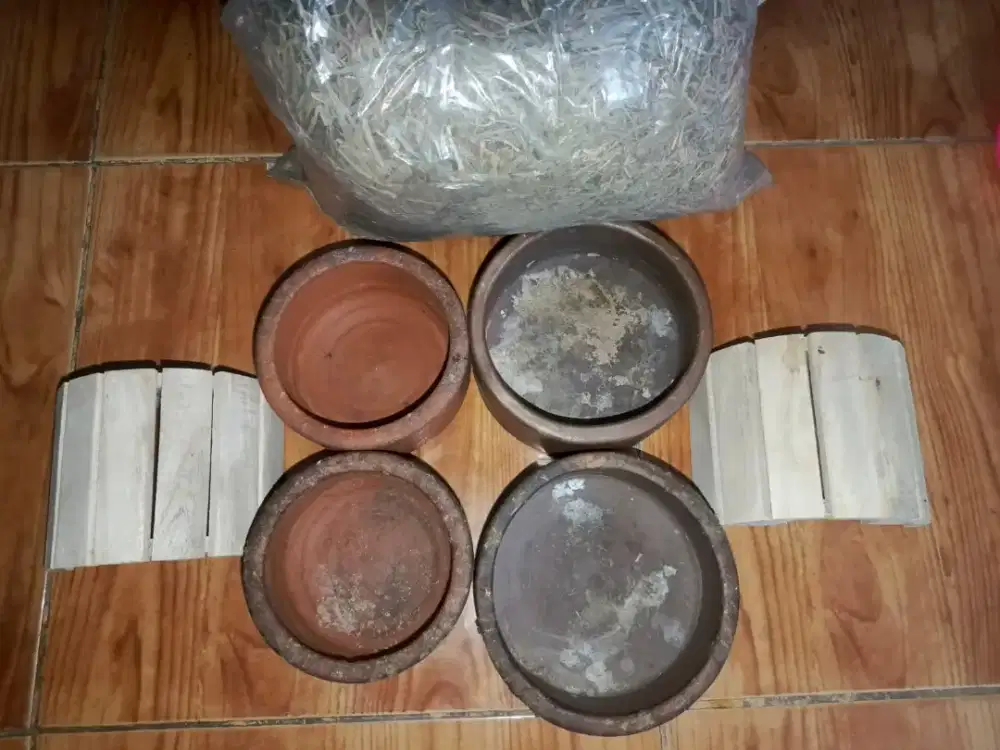 Kebutuhan Marmut/Hamster