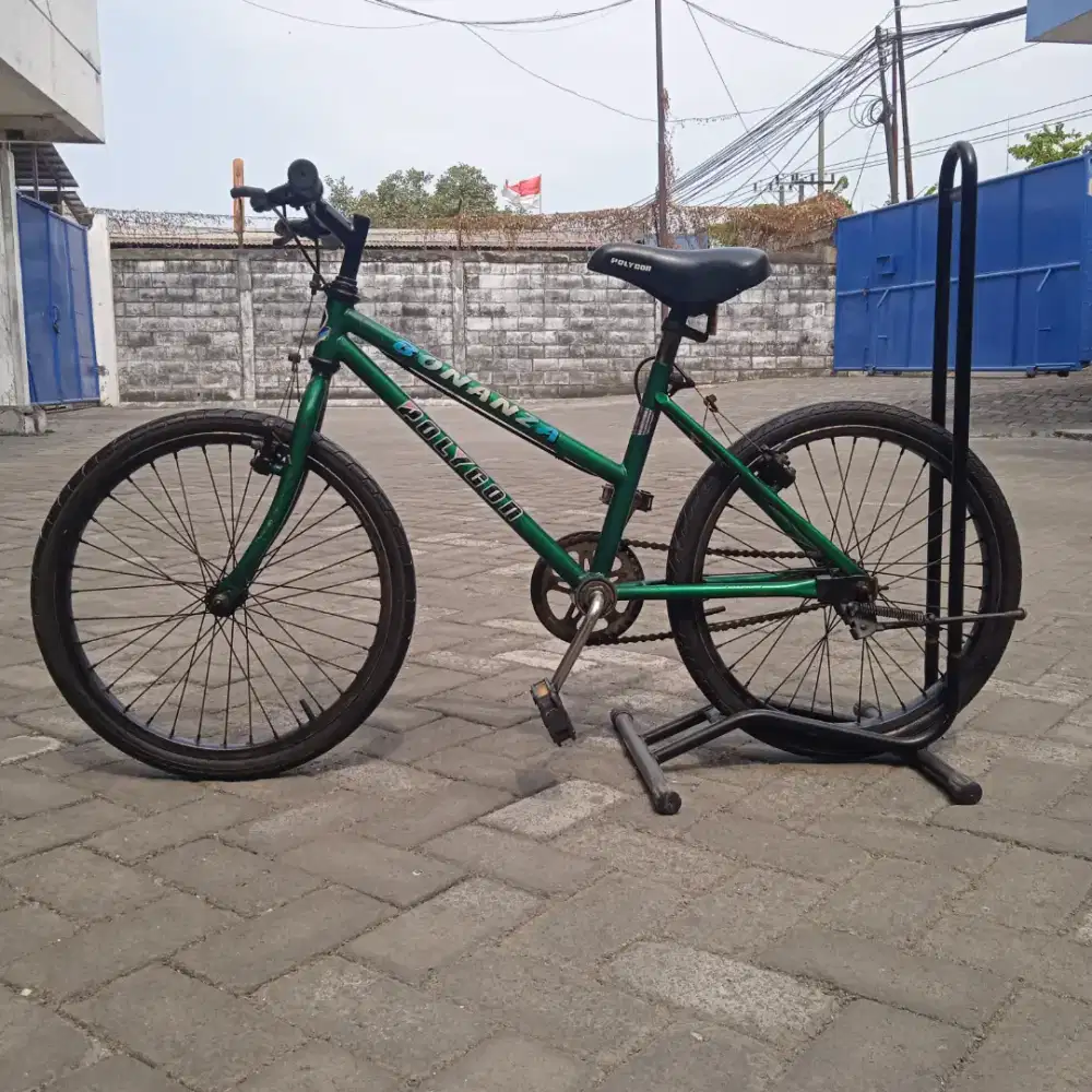 Sepeda lady anak ukuran 20