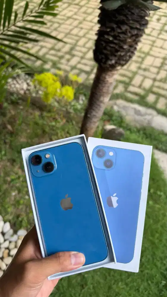 iPhone 13 256gb inter all operator