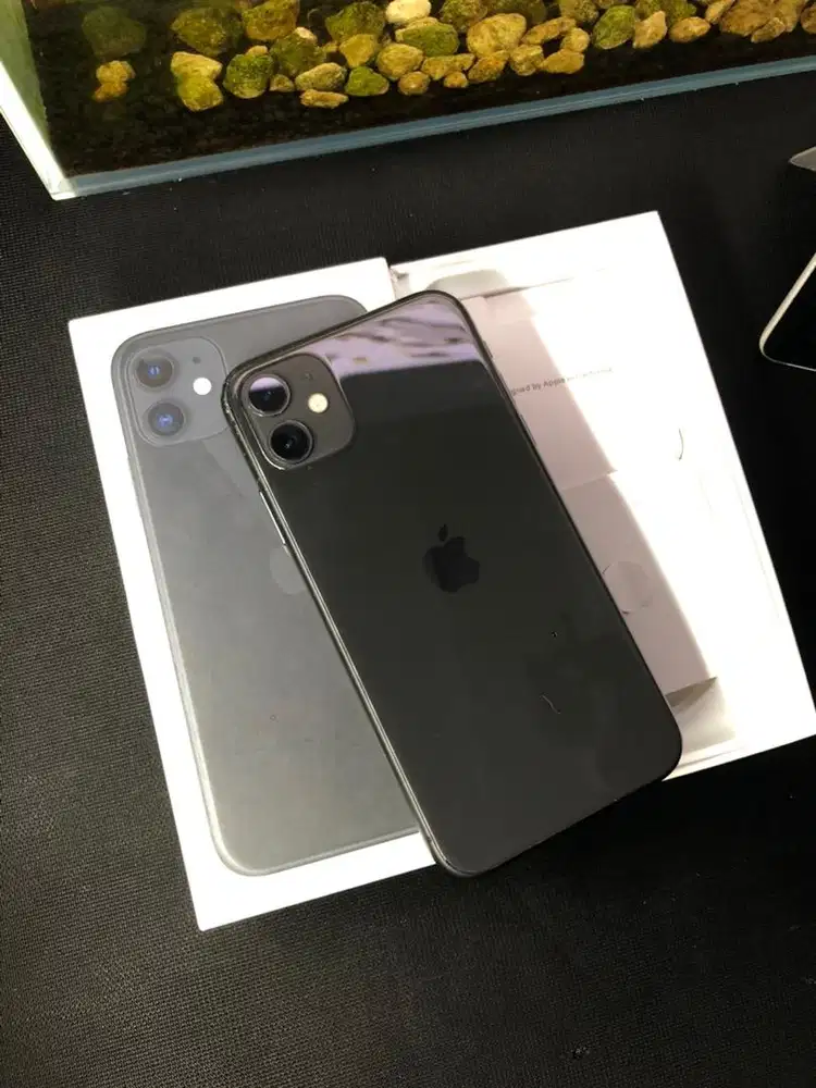 iPhone 11 128gb sinyal All operator