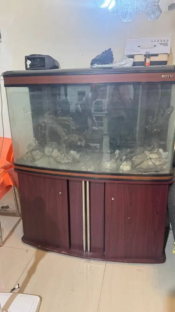 Aquarium boyu informa
