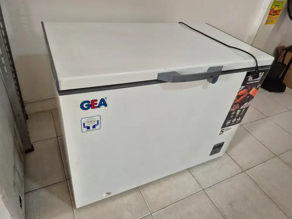Freezer GEA BOX 318L