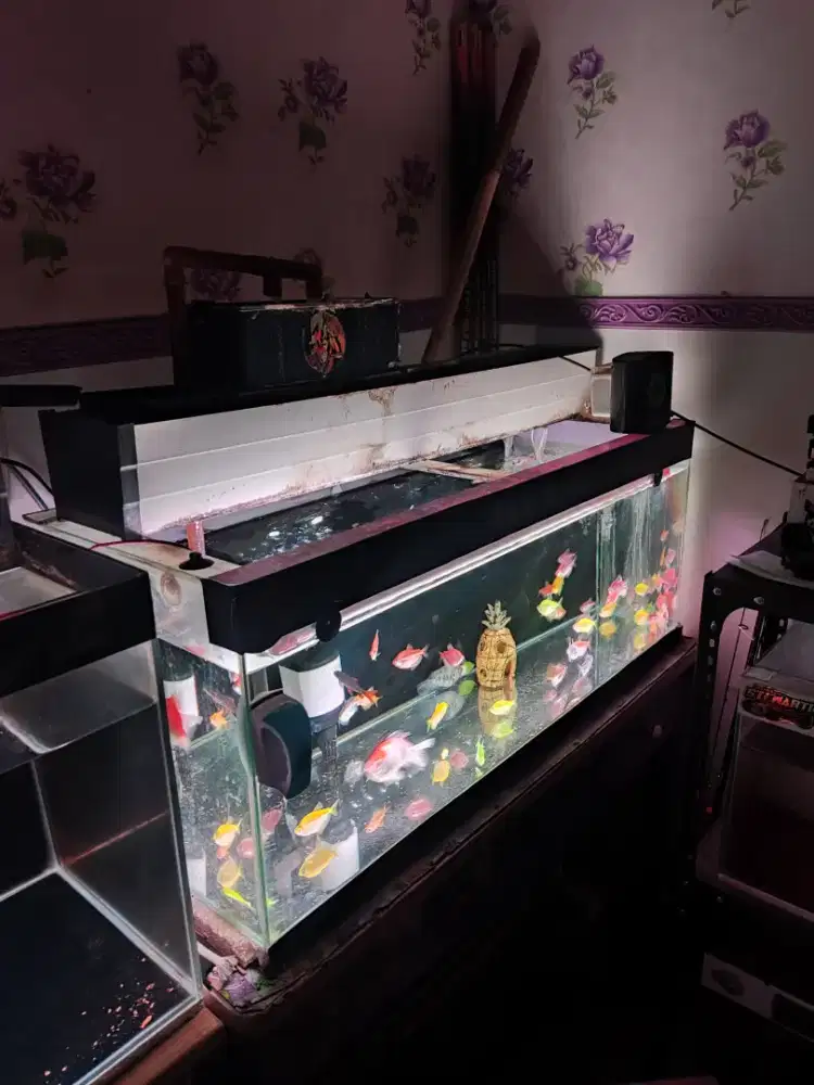 Jual akuarium full shett ,