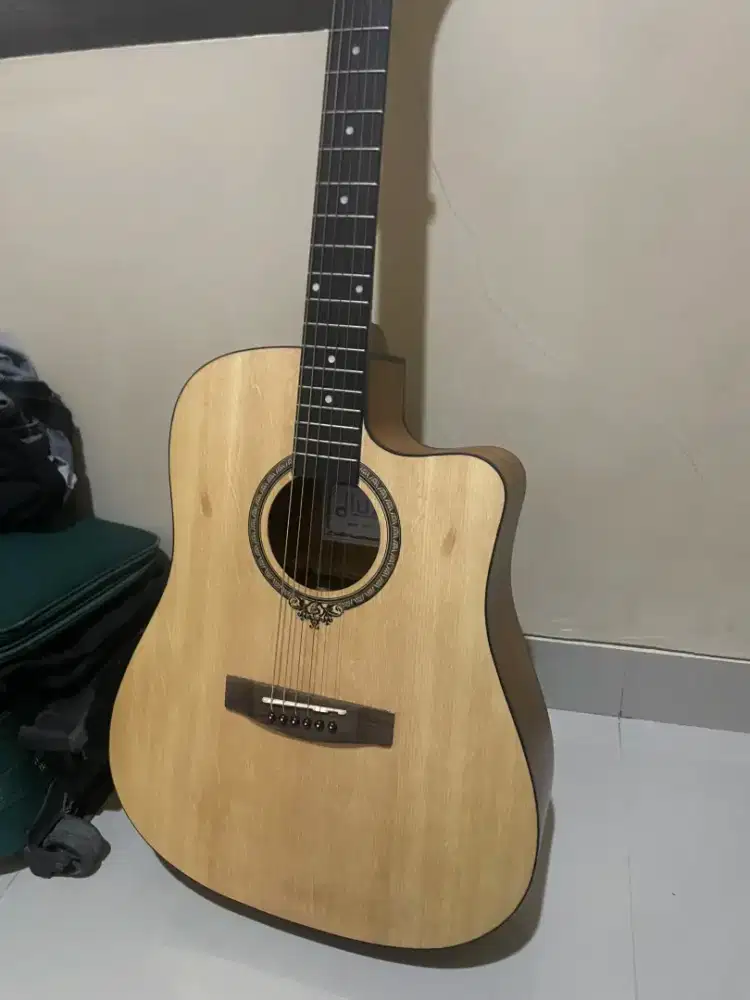 Gitar dluxe dw-110