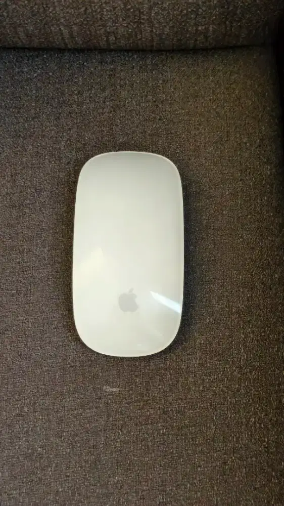 Apple Magic Mouse iMac Copotan