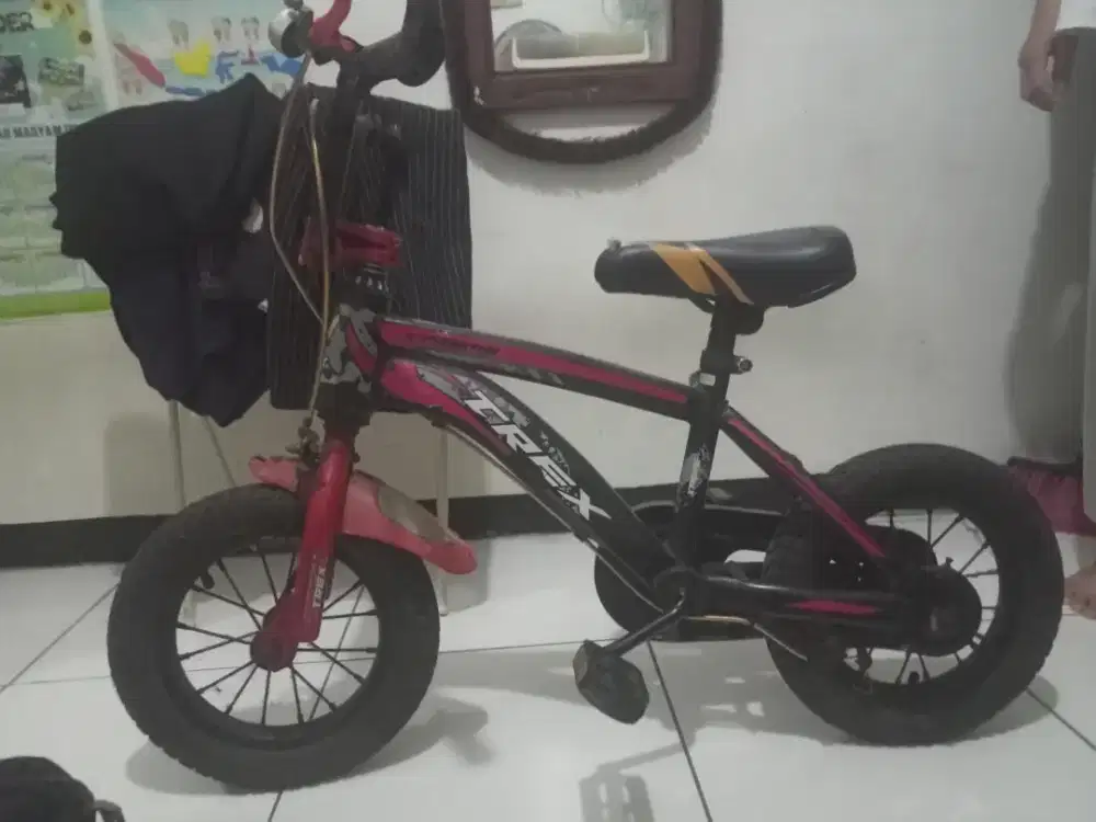 Sepeda anak laki laki
