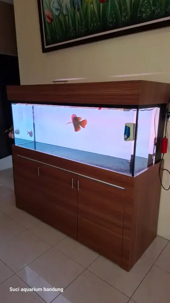 Aquarium meja 150x55x60 fulset