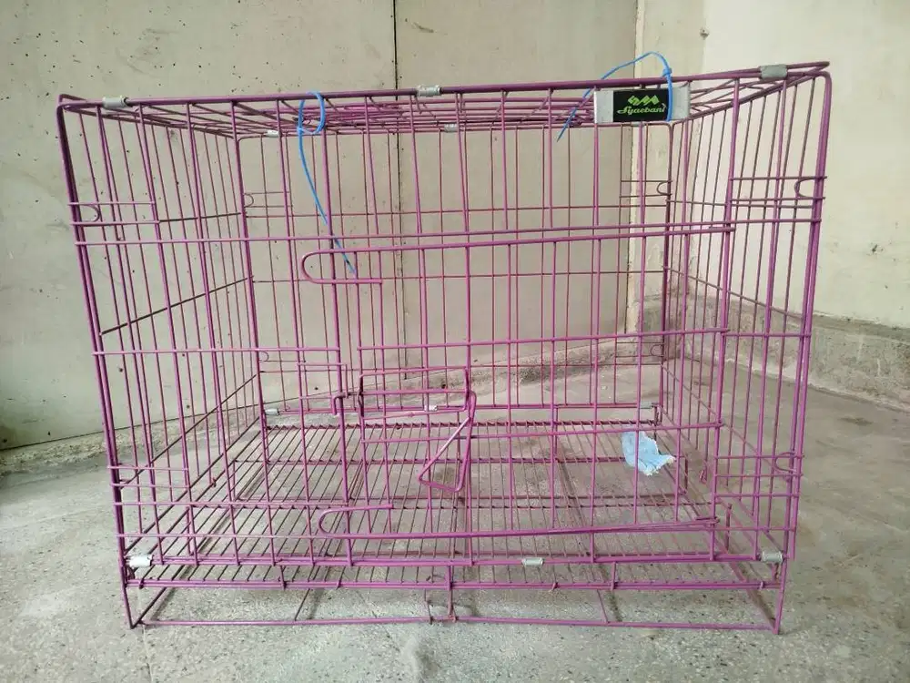 Kandang besi meong